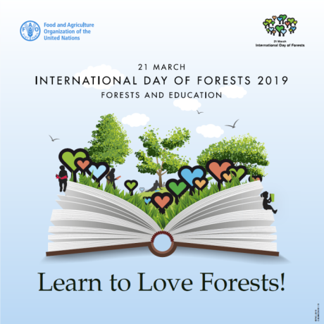 21 marca Międzynarodowym Dniem Lasów