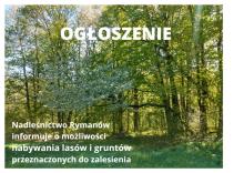 Masz do sprzedania las lub grunt do zalesienia? Daj nam znać!